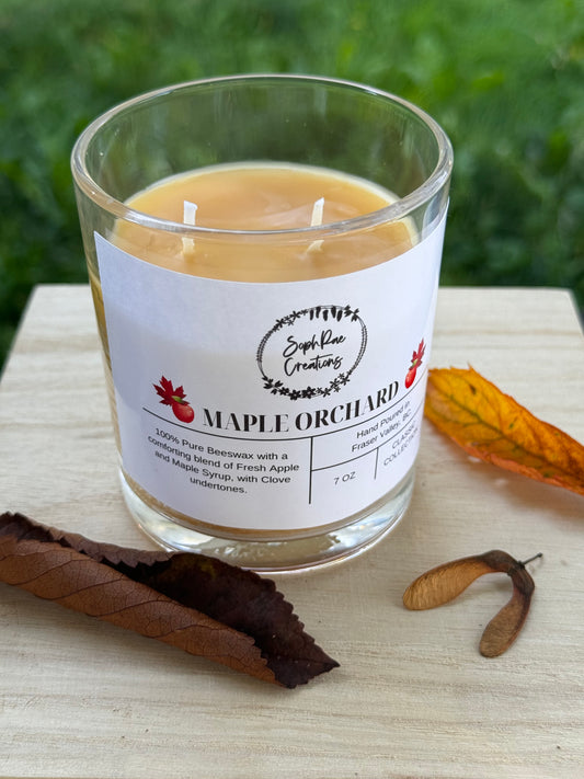 Maple Orchard