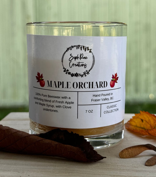 Maple Orchard